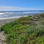 Mini Au Bord De La Mer, Proche Moriani * 波吉奥· 梅扎纳