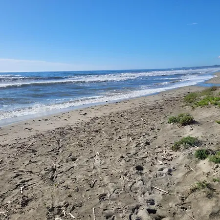 Mini Au Bord De La Mer, Proche Moriani