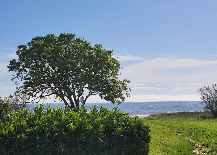 Mini Au Bord De La Mer, Proche Moriani 펜션